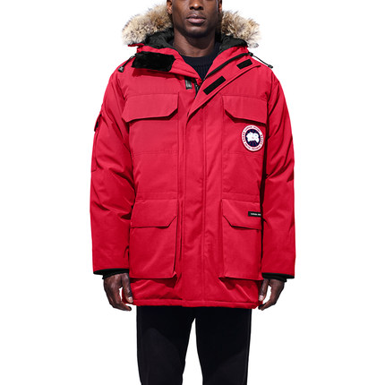 Canada Goose.jpg Canada Goose.jpg
