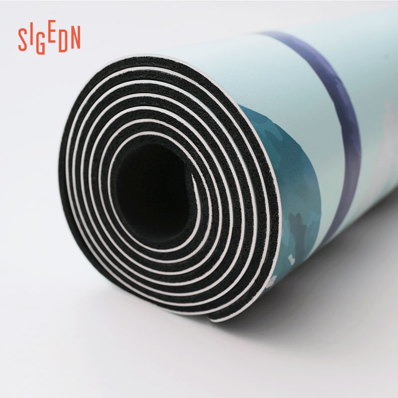 SIGEDN.jpg SIGEDN.jpg